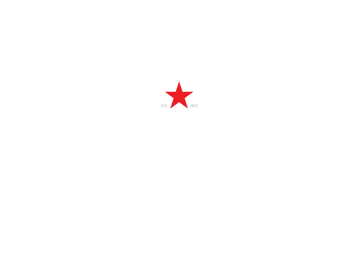 Heineken<sup>®</sup> - Tocayos Inc.