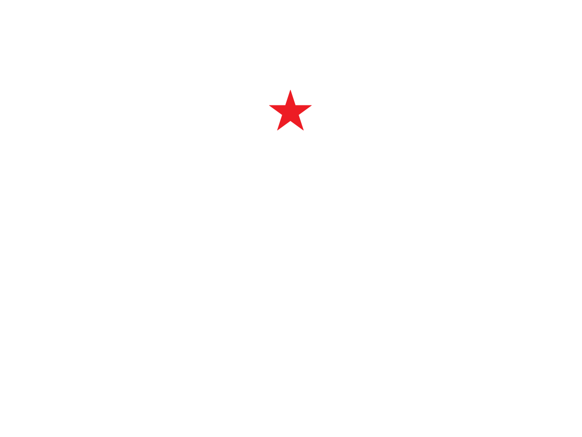 Heineken<sup>®</sup> - Fan Volunteers